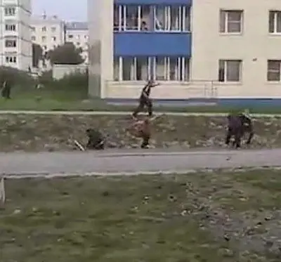 на сахалине группа мужчин устроила драку с перестрелкой в одном из дворов (видео) - Сайт Газеты «Совершенно Секретно»