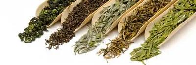 лекарь из народа лечил рак чаем - Сайт Газеты «Совершенно Секретно»