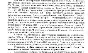 Родственники заявили о пропаже избитого Адамом Кадыровым поджигателя Корана Журавеля