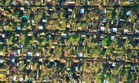 Более ста человек попали в мошенническую схему при покупке земли в Московской области