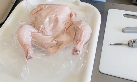 СК возбудил уголовное дело из-за вспышки сальмонеллеза в 47 детсадах Петербурга и Ленобласти