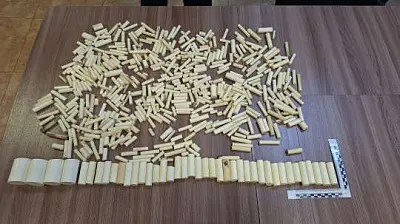 6 кг заготовок из бивней мамонта обнаружили российские таможенники - Сайт Газеты «Совершенно Секретно»