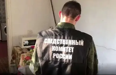 в сочи завели дело на хозяина питбультерьеров, которые загрызли 4-летнюю девочку (видео) - Сайт Газеты «Совершенно Секретно»