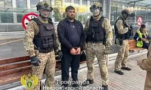 Водителя самосвала, наехавшего на людей в Новосибирске, поймали в Казахстане и экстрадируют в РФ