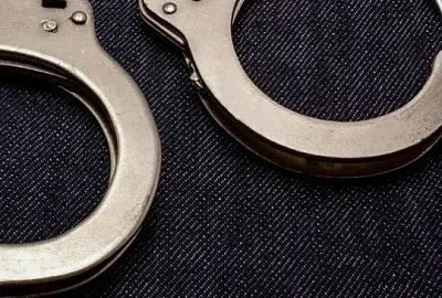 гражданина оаэ осудили в рф за попытку контрабанды краснокнижных кречетов - Сайт Газеты «Совершенно Секретно»