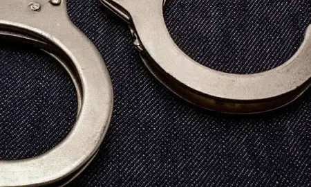 Гражданина ОАЭ осудили в РФ за попытку контрабанды краснокнижных кречетов