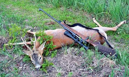 Зоозащитники бьют тревогу из-за нового проекта Минприроды, легализующего убийство краснокнижных животных