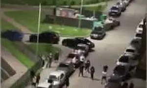 В Мурино драка, в которой приняли участие не менее 20 человек, переросла в стрельбу (ВИДЕО) 