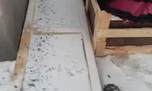 В Челябинске 12-летний ребёнок нашёл на помойке вскрытый гроб с данными покойного