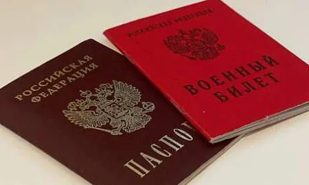 Из ГД отозван законопроект о лишении приобретённого гражданства РФ за отказ от постановки на воинский учёт