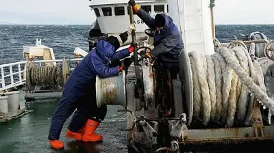 минтруд назвал самую высокооплачиваемую специальность - Сайт Газеты «Совершенно Секретно»