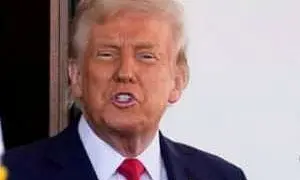 Трамп, Зеленский и лидеры ЕС хотят обсудить переговоры по Украине 