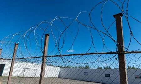 Количество российских заключённых в колониях и СИЗО достигло исторического минимума