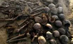 В Дагестане в ходе строительных работ на пляже были найдены 18 скелетов