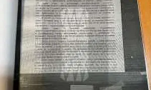 Следователь из Питера назвала протокол опроса пострадавшего от пыток в полиции матерным словом