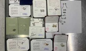 Таможенники изъяли у россиянки, прибывшей из Дубая, ювелирку на 36 млн рублей