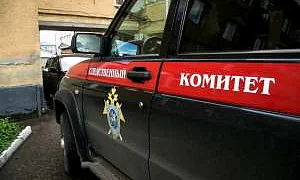 СК начал проверку после сообщений о нападении банды школьниц на стариков и детей в Новосибирске