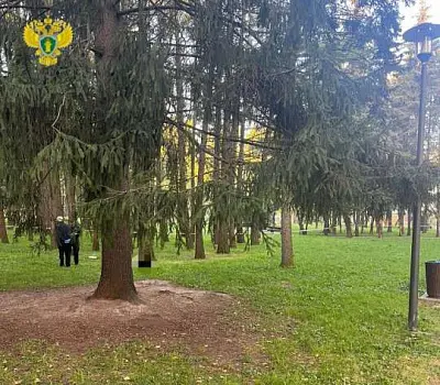 в одном из парков москвы найден труп мужчины с отрезанной головой и многочисленными ранениями (видео) - Сайт Газеты «Совершенно Секретно»