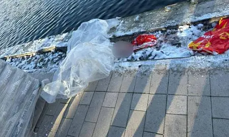 Голову ребенка в рюкзаке нашли в Гольяновском пруду Москвы