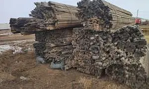 Суд в Забайкалье рассмотрит дело о контрабанде леса на 1 млрд рублей