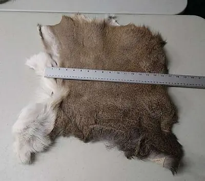 в коми убили из-за 1,5 миллиона скупщика оленьих шкур - Сайт Газеты «Совершенно Секретно»