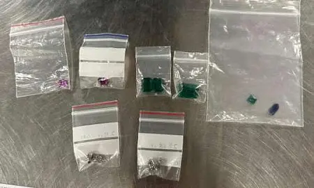 В Домодедово пресекли контрабанду изумрудов и рубинов на 15 млн рублей