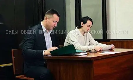 Суд назначил племяннику актрисы Варнавы 1 год и 8 месяцев принудительных работ