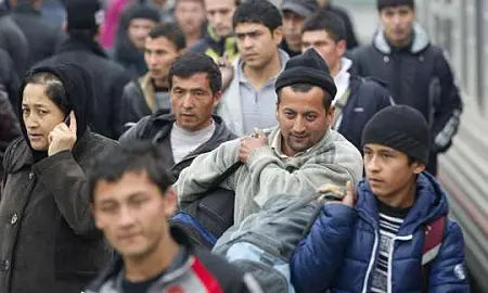 МВД: 10 сентября у мигрантов истекает срок легализации пребывания в РФ