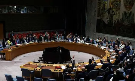 ООН: только 46 стран из 193 поддержали обвинения Польши к РФ из-за инцидента с БПЛА