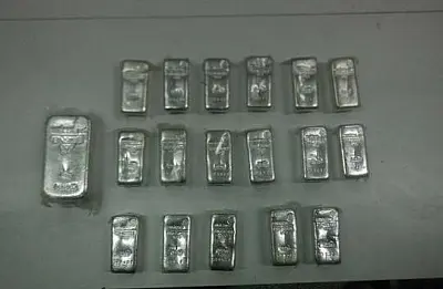 восемнадцать серебряных слитков обнаружили псковские таможенники  - Сайт Газеты «Совершенно Секретно»