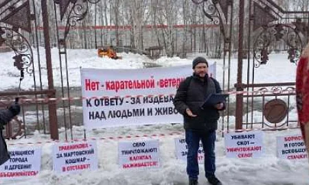 Новосибирские фермеры подали коллективный иск против властей из-за изъятия скота