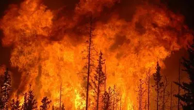 военная авиация возобновила тушение пожаров в сибири - Сайт Газеты «Совершенно Секретно»