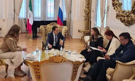 Дочь петербургской пианистки Романовой, похищенную в 2023 г. органами опеки Мексики, выпустили на свободу