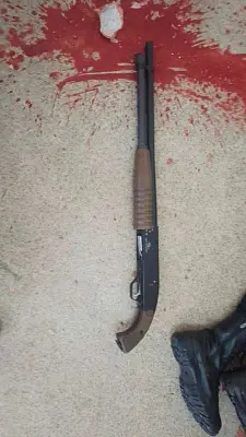 в брянске ученица 8-го класса устроила в школе стрельбу из огнестрельного оружия - Сайт Газеты «Совершенно Секретно»