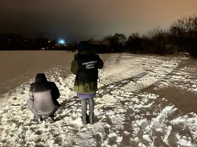 житель ленобласти зарезал своего двухлетнего сына и повез на санках в больницу - Сайт Газеты «Совершенно Секретно»