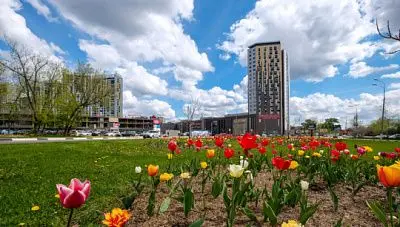 в подмосковье режим самоизоляции продлили до 14 июня - Сайт Газеты «Совершенно Секретно»