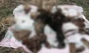 Засыпали песком и залили бетоном: под Красноярском найдена бочка со скелетом внутри