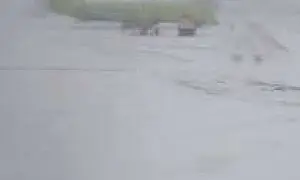 В аэропортах Внуково, Домодедово и Шереметьево задерживают вылет 75 рейсов (ВИДЕО)