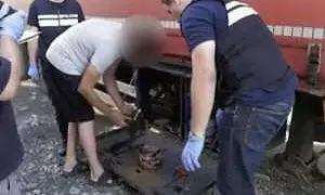 Ввезенную в Грузию взрывчатку водителю передали сотрудники СБУ на Украине