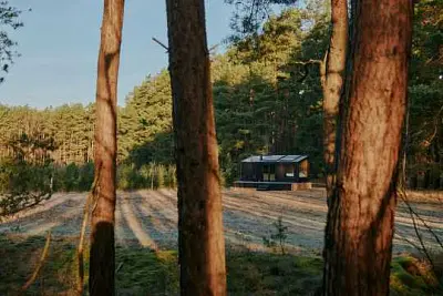 за 10 лет опг легализовала 80 гектаров земли в подмосковье - Сайт Газеты «Совершенно Секретно»