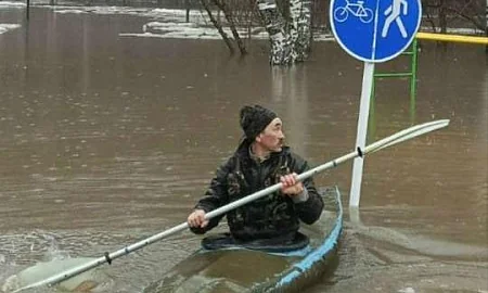 Жителей Центральной России начали эвакуировать из домов из-за сильного паводка