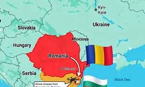 Неопознанный БПЛА залетел в Болгарию и взорвался у Трансбалканского газопровода