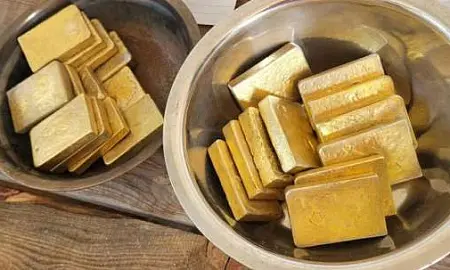 Мигранты незаконно &quot;намыли&quot; золото на 100 млн рублей в Амурской области 