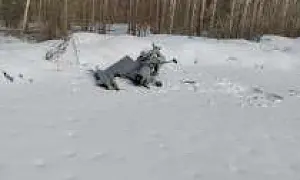 До Москвы рукой подать: беспилотник «Укрджет» упал возле объекта «Газпрома» в Подмосковье