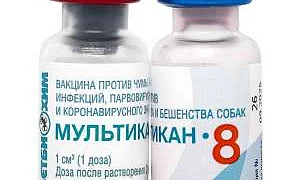 Прокуратура попросила возбудить уголовное дело против производителя вакцины «Мультикан-8»
