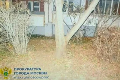в москве женщина бросила новорожденного ребенка на улице из-за сожителя - Сайт Газеты «Совершенно Секретно»