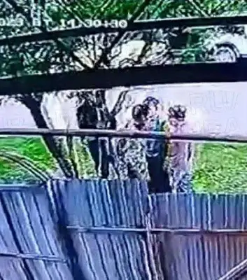 на ставрополье сосед зарезал 23-летнего участника сво за замечание об алабае (видео) - Сайт Газеты «Совершенно Секретно»