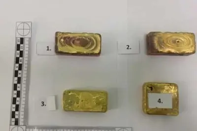 золото на 22 млн рублей нашли в тайнике автобуса, ехавшего из рф в китай - Сайт Газеты «Совершенно Секретно»