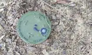 При зачистке Брянской области от украинских диверсантов получили ранения шесть силовиков