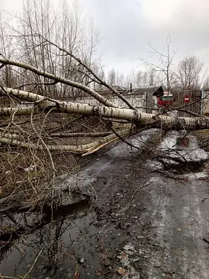 мощный ураган накрыл сибирь  - Сайт Газеты «Совершенно Секретно»